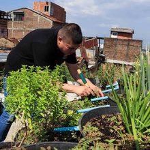 Habitantes de Silo&eacute; se benefician con iniciativas de huertas comunitarias 