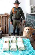 Agosto cerr&oacute; con un panorama positivo en materia de seguridad para Cali