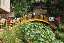 Del MIO Cable a la Estrella de Silo&eacute;: di&aacute;logo entre el Gobierno y la comunidad