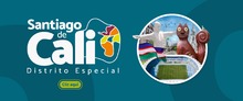 Distrito especial