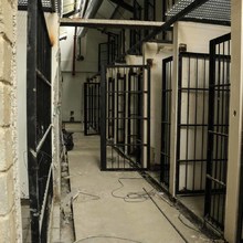 Centro de Bienestar Animal avanza en un 85% 