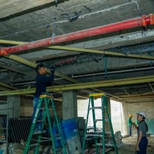 Centro de Bienestar Animal avanza en un 85% 