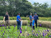 Visite los domingos el parque ambiental &lsquo;Coraz&oacute;n de Pance&rsquo;