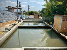 Habitantes de La Reforma se benefician con mejoramiento del acueducto 