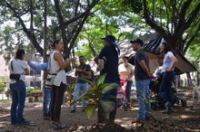 Organismos internacionales se interesan en las huertas de Cali