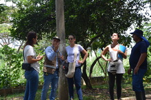 Organismos internacionales se interesan en las huertas de Cali