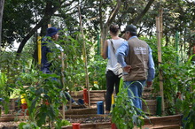 Organismos internacionales se interesan en las huertas de Cali