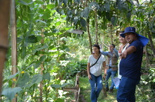 Organismos internacionales se interesan en las huertas de Cali