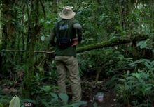 Cuando el Tororoi no se deja ver