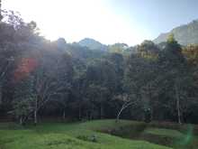 Cuando el Tororoi no se deja ver