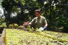 Se buscan sembradores del futuro ambiental de la ciudad