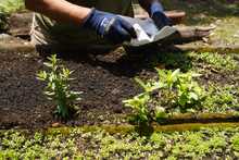 Se buscan sembradores del futuro ambiental de la ciudad