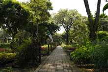 Se buscan sembradores del futuro ambiental de la ciudad