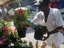 Habitantes de y en calle expondr&aacute;n sus productos artesanales este domingo