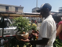 Habitantes de y en calle expondr&aacute;n sus productos artesanales este domingo