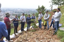 En la ladera de Cali se construye paz mediante el desarrollo de huertas comunitarias 