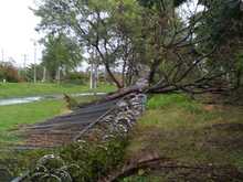 Secretar&iacute;a de Educaci&oacute;n present&oacute; ante aseguradoras reclamaci&oacute;n por da&ntilde;os causados durante ola invernal