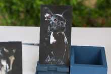 Con gran &eacute;xito se llev&oacute; a cabo encuentro artesanal y art&iacute;stico de poblaci&oacute;n vulnerable