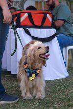 Salud P&uacute;blica activ&oacute; su portafolio de servicios durante &lsquo;Gobierno al barrio&rsquo; en El Guabal