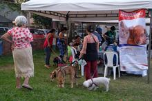 Salud P&uacute;blica activ&oacute; su portafolio de servicios durante &lsquo;Gobierno al barrio&rsquo; en El Guabal