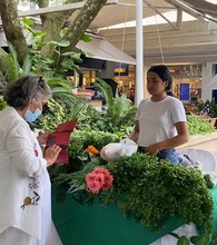 Los mercados campesinos se tomar&aacute;n a Cali y sus corregimientos este fin de semana