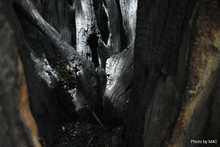 Tratan de salvar a un octogenario al que le echaron candela