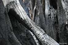 Tratan de salvar a un octogenario al que le echaron candela