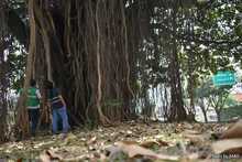 Tratan de salvar a un octogenario al que le echaron candela