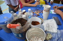 Encuentro de Huerteros