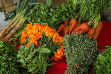 Luis Eduardo: un estudiante de La Granja que quiere ser agr&oacute;nomo
