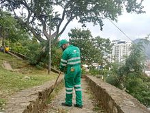 Con plan de limpieza especial, la Uaesp se sum&oacute; al D&iacute;a sin Carro