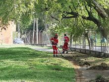 Con plan de limpieza especial, la Uaesp se sum&oacute; al D&iacute;a sin Carro