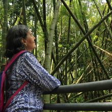 Recorrido por bosques urbanos fue uno de los atractivos en la jornada de movilidad sostenible 