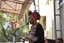 Salud P&uacute;blica, protagonista en primera audiencia formal del Congreso sobre el sistema de salud