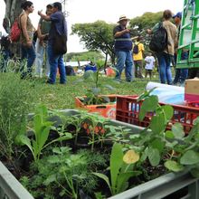 Encuentro de Huerteros reuni&oacute; los cinco Ecobarrios de la ciudad 