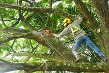 DAGMA llev&oacute; toda su oferta ambiental al Corregimiento de Montebello