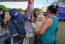 En el &lsquo;d&iacute;a mundial contra la rabia&rsquo;, Cali reporta silencio epidemiol&oacute;gico frente a esta enfermedad 