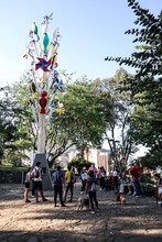 Recorrido cultural en San Antonio: mascotas hicieron parte de la celebraci&oacute;n del &lsquo;D&iacute;a Mundial del Turismo&rsquo;