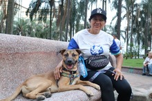 Recorrido cultural en San Antonio: mascotas hicieron parte de la celebraci&oacute;n del &lsquo;D&iacute;a Mundial del Turismo&rsquo;
