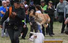 El barrio Capri ser&aacute; escenario de la &lsquo;Feria Vecinal de Seguridad&rsquo; en su tercera versi&oacute;n