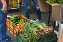 El &lsquo;Coraz&oacute;n del Campo&rsquo; llegar&aacute; a Cali en octubre