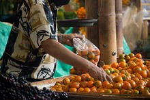 El &lsquo;Coraz&oacute;n del Campo&rsquo; llegar&aacute; a Cali en octubre