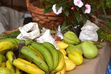 El &lsquo;Coraz&oacute;n del Campo&rsquo; llegar&aacute; a Cali en octubre