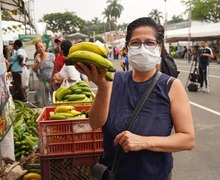 La Plazoleta Jairo Varela se vestir&aacute; con frutas, legumbres y hortalizas