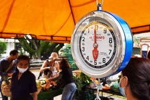 La Plazoleta Jairo Varela se vestir&aacute; con frutas, legumbres y hortalizas