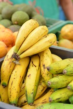 La Plazoleta Jairo Varela se vestir&aacute; con frutas, legumbres y hortalizas