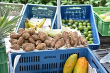 La Plazoleta Jairo Varela se vestir&aacute; con frutas, legumbres y hortalizas