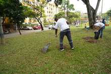Datic intervino el parque Colseguros Andes