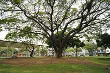 Datic intervino el parque Colseguros Andes