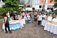 Instituto Popular de Cultura impulsa iniciativas art&iacute;sticas y culturales de sus egresados